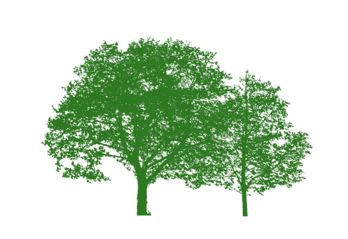Bosques para la vida