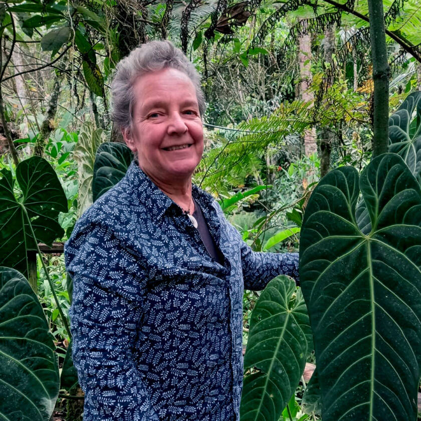 Norita Londoño